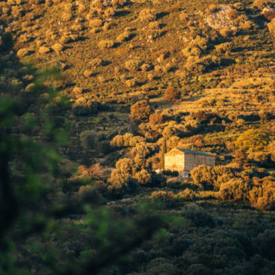 Chapelle San Rinieru à Montemaggiore