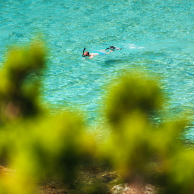 Plage de Fautea