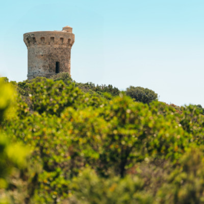 Tour génoise de Fautea